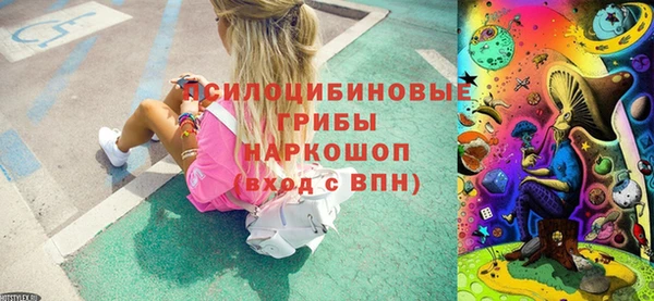 кокс Баксан