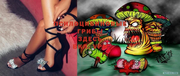 spice Балабаново