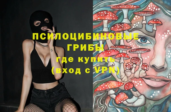кокс Баксан