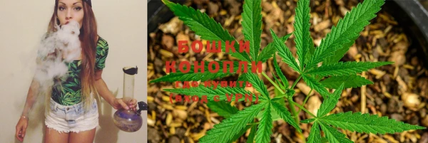 spice Балабаново