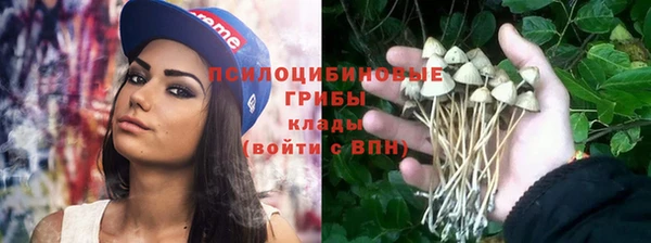 кокс Баксан