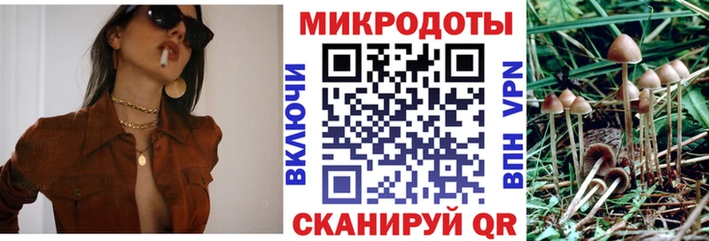 darknet телеграм  ссылка на мегу ONION  Псилоцибиновые грибы мухоморы  Усть-Лабинск  магазин   